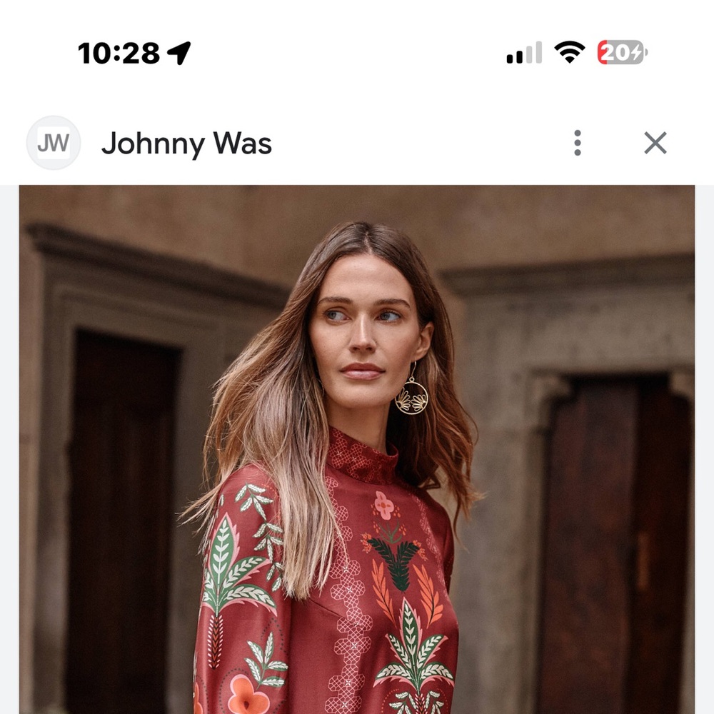 NWT JOHNNY WAS KALOVA MINI DRESS - Picture 12 of 12